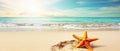 Tropical beach with sea star on sand, summer holiday background . Travel promotion banner template Generative AI Royalty Free Stock Photo