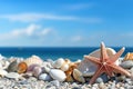 Tropical beach with sea star and seashells on sand, summer holiday background. Royalty Free Stock Photo