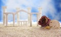 Dried Flower and Seashell on Tropical Beach With Roman Ruins
