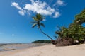 Tropical beach with sloping coconut palms on Boipeba Island Bahia Brazil Royalty Free Stock Photo