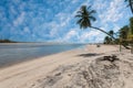 Tropical beach with sloping coconut palms on Boipeba Island Bahia Brazil Royalty Free Stock Photo