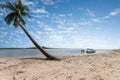 Tropical beach with sloping coconut palms on Boipeba Island Bahia Brazil Royalty Free Stock Photo