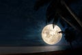 Tropical beach with star in night sky, full moon Royalty Free Stock Photo