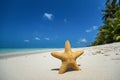 Tropical beach with a starfish on sand, sea view and sand Royalty Free Stock Photo