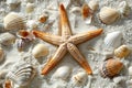 Tropical beach with starfish and seashells on white sand, summer holiday, background. Travel and beach vacation Royalty Free Stock Photo