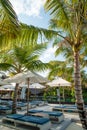 Tropical beach with sunbeds and umbrellas near pool. Vertical Royalty Free Stock Photo