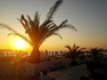 Tropical beach in sunrise with beach chairs and umbrellas Royalty Free Stock Photo