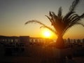 Tropical beach in sunrise with beach chairs and umbrellas Royalty Free Stock Photo