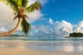 Tropical beach at sunrise with coco palm in Praslin island, Seychelles. Royalty Free Stock Photo