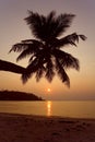 Tropical beach sunset Royalty Free Stock Photo
