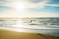 Tropical beach sunset, silhouette of flying bird, and cloudy sky Royalty Free Stock Photo