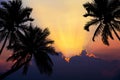 Tropical beach on sunset with silhouette palm trees Royalty Free Stock Photo