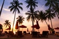 Tropical beach at sunset, tourist hotel resort with silhouettes of palm trees and deckchairs Royalty Free Stock Photo