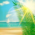 Tropical beach template. Royalty Free Stock Photo