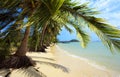 Tropical beach. Thailand, Koh Samui island.