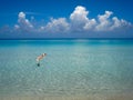 Tropical beach with transparent waters