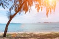 Tropical beach with tree and sunlight. Holiday and Relax concept. Lifestyle and Long weekend concept. Nature and Seascape theme Royalty Free Stock Photo