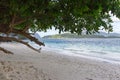 Tropical beach with trees and white sand. Seascape with isles on background. Vacation and relax background. Tropic paradise. Royalty Free Stock Photo