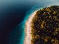 Tropical beach and turquoise ocean. Aerial view. Paradise beach in morning