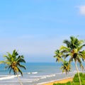 Tropical beach, turquoise sea water, ocean wave , green palms Royalty Free Stock Photo