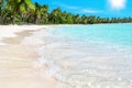 Tropical beach, turquoise sea water, ocean wave, white sand, green palm trees, blue sky, sun, summer holidays, travel, vacation Royalty Free Stock Photo