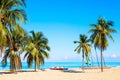 The tropical beach of Varadero in Cuba with sailboats and palm trees on a summer day with turquoise water. Vacation background