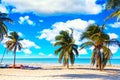 The tropical beach of Varadero in Cuba with sailboats and palm trees on a summer day with turquoise water. Vacation background Royalty Free Stock Photo