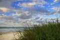 Tropical beach with vegetation Royalty Free Stock Photo