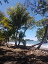 Tropical beach view, Dominical