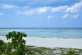 Tropical Beach View