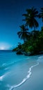 tropical beach view at starry night with white sand, turquoise water and palm tree, neural network generated image Royalty Free Stock Photo