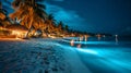 tropical beach view at starry night with white sand, turquoise water and palm tree, neural network generated image Royalty Free Stock Photo