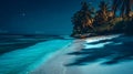 tropical beach view at starry night with white sand, turquoise water and palm tree, neural network generated image Royalty Free Stock Photo