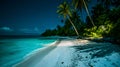 tropical beach view at starry night with white sand, turquoise water and palm tree, neural network generated image Royalty Free Stock Photo