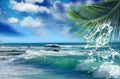 Tropical beach white sand blue sea water birds on sky white clouds sunshine palm tree branch summer landscape summer umbrel