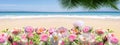 Tropical beach with white sand, palm trees, turquoise ocean against a blue sky with clouds  beautiful flowers on a sunny summer d Royalty Free Stock Photo