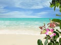 Tropical beach with white sand, palm trees, turquoise ocean against a blue sky with clouds  beautiful flowers on a sunny summer da Royalty Free Stock Photo