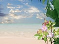 Tropical beach with white sand, palm trees, turquoise ocean against a blue sky with clouds  beautiful flowers on a sunny summer da Royalty Free Stock Photo