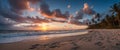 Tropical beach with white sand and palms Royalty Free Stock Photo