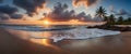 Tropical beach with white sand and palms Royalty Free Stock Photo