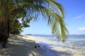 Tropical Beach Bocas del Toro