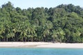 Tropical beaches in Chiriqui, white sandy beaches, palmtrees and coconuts and amazing clear blue water. Panama at his best.