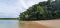 Tropical beaches, Panama. Chiriqui National Park. Deserted beach, palmtree, white sand, clear water Royalty Free Stock Photo