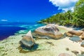 Tropical beaches on paradise island