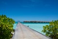 Tropical beautiful beach with huts at Maldives Royalty Free Stock Photo