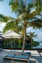 Tropical beautiful vertical landscape of sunbeds and umbrellas near swimming pool Royalty Free Stock Photo