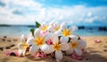 Tropical beauty in nature, sand, water, frangipani generated by AI