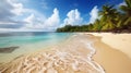 Tropical beauty: ocean and palm trees