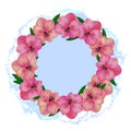 Tropical beauty pink flower frame with green leaves on crystal blue water splashes background, spring and summer mood, editable ve Royalty Free Stock Photo