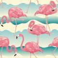 Tropical Bird Flamingo Background